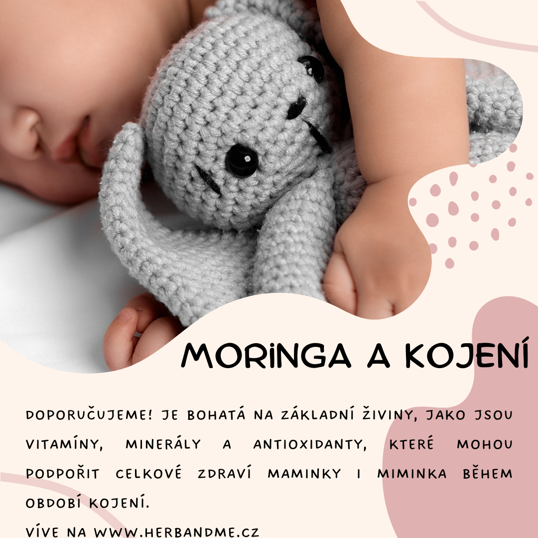 Moringa podporuje tvorbu mateřského mléka